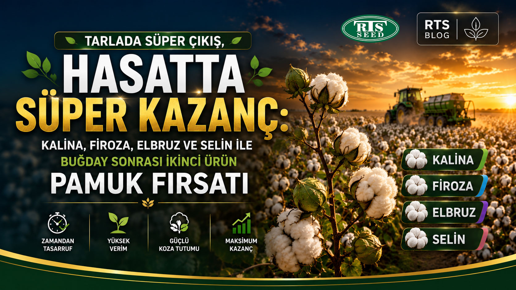 Tarlada Süper Çıkış, Hasatta Süper Kazanç: Kalina, Firoza, Elbruz ve Selin ile Buğday Sonrası İkinci Ürün Pamuk Fırsatı