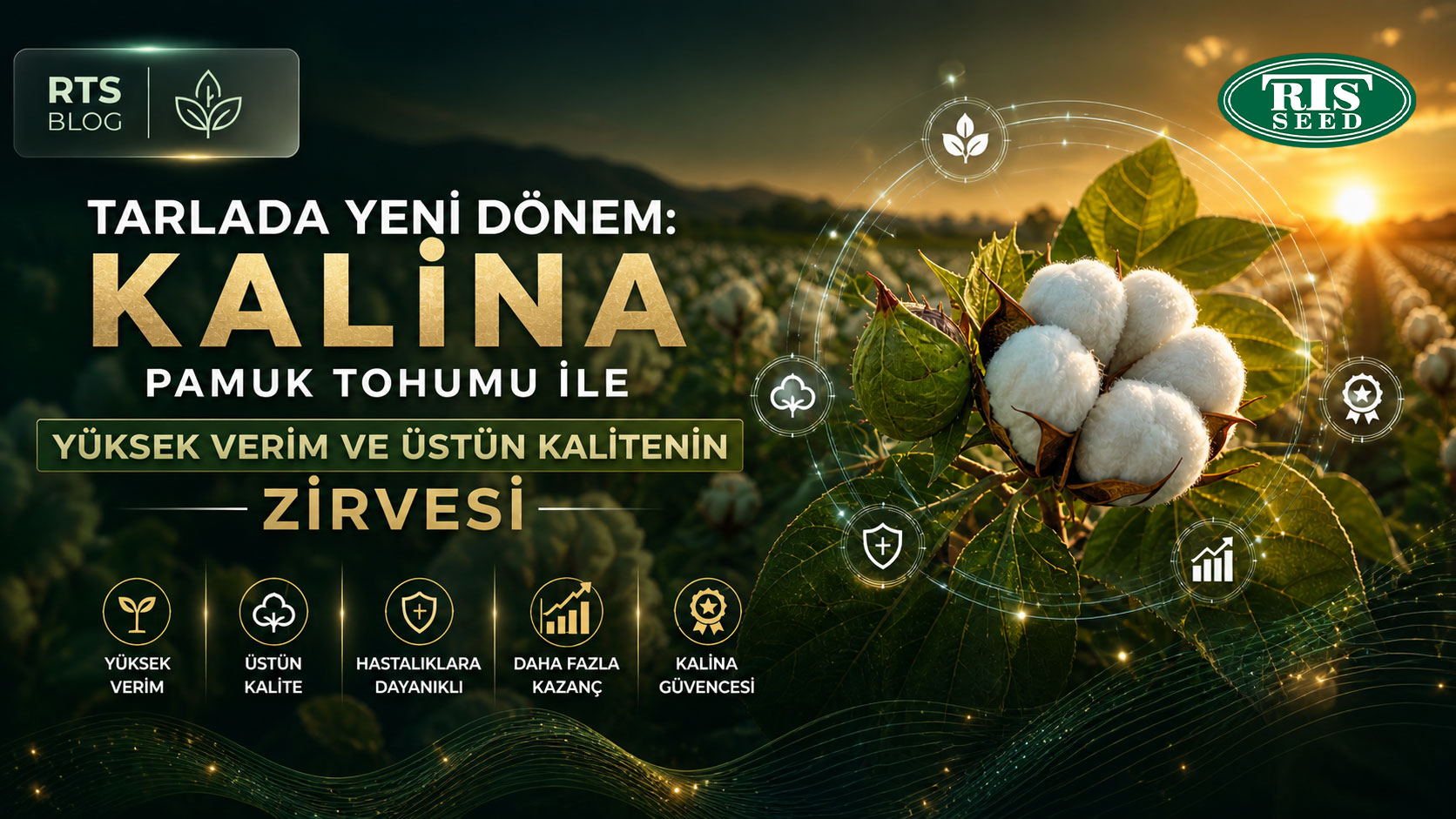 Tarlada Yeni Dönem: Kalina Pamuk Tohumu ile Yüksek Verim ve Üstün Kalitenin Zirvesi