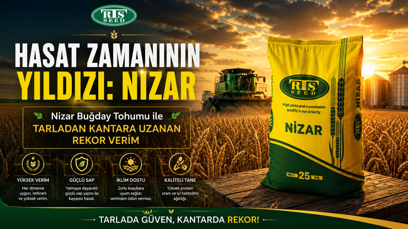 Hasat Zamanının Yıldızı: Nizar Buğday Tohumu ile Tarladan Kantara Uzanan Rekor Verim